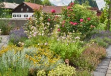 Jungholz – das Tiroler Kräuterdorf