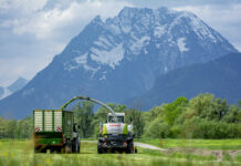 EU-Staaten stimmen für Renaturierungsgesetz