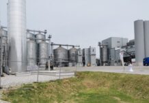 Europameister bei Bio-Öl und -Eiweißfutter