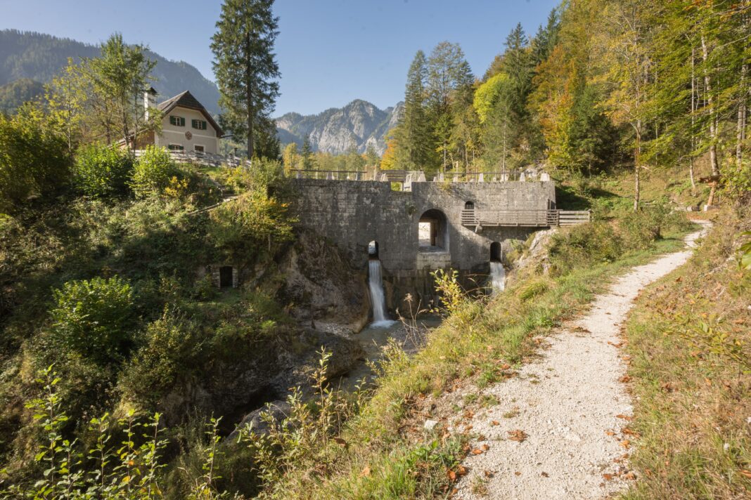 Standort Chorinskyklause