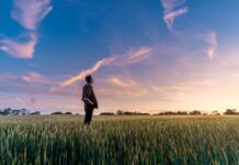 EU-Wahl bestätigt KeyQUEST-Umfrage