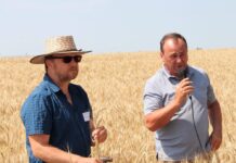 Beim AMA-Gütesiegel Brot sind bald die Konsumenten am Zug