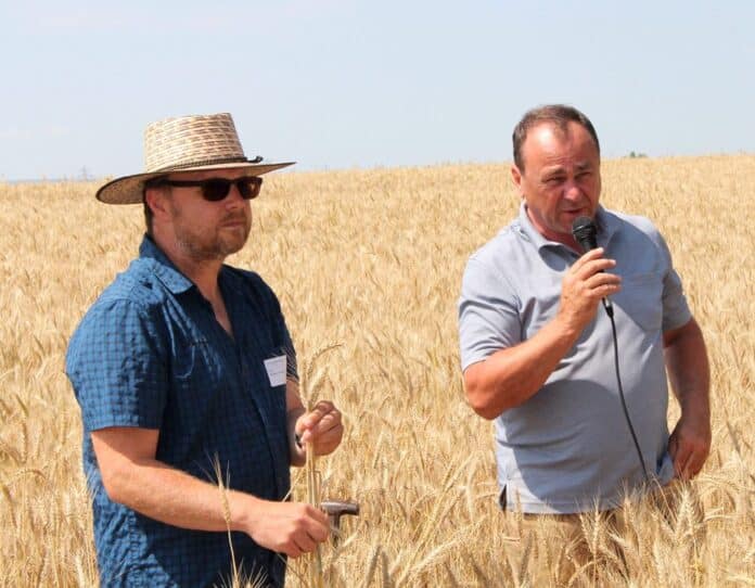 2428 W04 Goodmills Grausgruber Markom