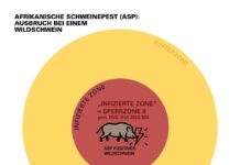 Alles zur Afrikanischen Schweinepest mit einem Klick