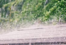 Unwetter: 1,4 Millionen Euro Schaden in der Landwirtschaft