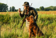 Landesregierung hat neue Jagdverordnungen beschlossen