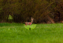 Verbissschutz mit der Büchse