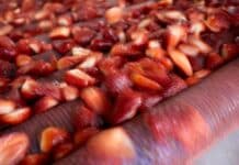 Ergebniseinbruch bei Agrana