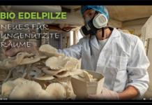 Direktvermarktung als Chance für Zusatzeinkommen