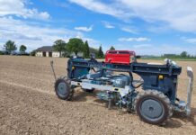 Feldroboter auf Unkrautjagd