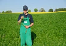 Nitrat-Aktionsprogramm: Erleichterungen nun auch in Sonderkulturen