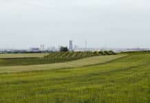 Stadtlandwirtschaft durch Betriebe und Kooperationen stärken