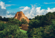 Auf nach Mexiko mit Hermann Schultes