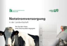 Neue LFI-Broschüre zur Notstromversorgung