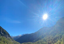 Almgeschichten Folge 2: Gutes Weidemanagement – die Basis für einen guten Almsommer