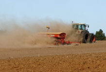 Die passenden Sorten für den anstehenden Rapsanbau