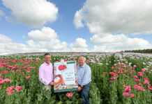 Waldland präsentiert Österreich Flagge am Feld