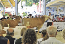 Die Agrotier wird zum Schaufenster für Nutztierhalter