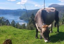 Abenteuer Auslandspraktikum in Norwegen