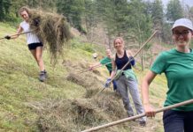 Landschaftspflege im Namen der Natur durch Alpenvereinsjugend