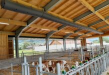 Förderbedingungen für Nutztierhalter: Weniger Emissionen, mehr Tierwohl