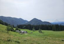 Wenn das Wasser auf den Almen knapp wird