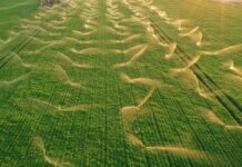 RWA sucht findige Wassernutzungssysteme