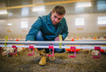 „Wir wollen an die Zukunft denken“