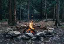 Waldbrandverordnung für Niederösterreichs Wälder