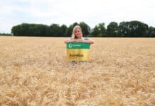 Bestes Winterweizensortiment