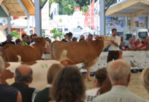 Die Agrotier wird zum Schaufenster für Nutztierhalter