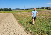 Ernte-Diebstahl: Bauern schlagen Alarm