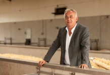 Schleppendes Fleischgeschäft drückt Investitionsgeschehen