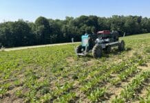 Dem Unkraut auf der Spur: Feldroboter im Praxistest