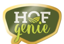 Das sind die „Hof-Genies“