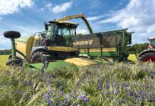 Getrimmt auf Effizienz