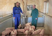 Lindinger fordert Taten gegen Einbrüche im Stall