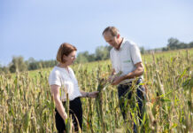 Wetterextreme: Leben mit dem ständig wiederkehrenden Risiko