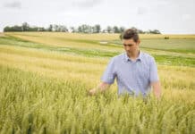 Die beste Wahl: Weizen Ernestus und Campesino von „Die Saat“