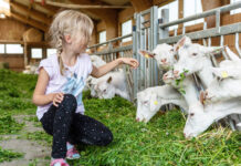Ausbau flächendeckender Kinder-Ferienbetreuung