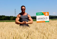 PROTEINGEHALT rückt in den Fokus