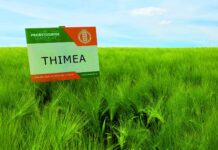 KWS Tolanis startet durch