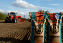 Erfolgreicher Triticaleanbau mit SU LAURENTIUS