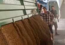 Versorgung für Österreichs Mühlenwirtschaft gesichert