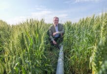 Ausbau von landwirtschaftlicher Bewässerung und Speicherteiche