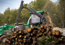 Das Wald-Highlight des Jahres