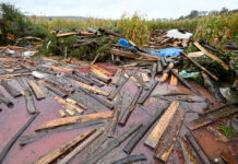 Nach der Flut werden ÖPUL-Anbaufristen gelockert