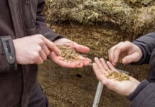 Jetzt mitmachen beim LK Silageprojekt 2024