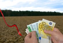 Pachtzinsberechnung 2024 mit neuen Indexwerten