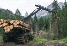 EUDR: Ausnahmeregelung für Österreich gefordert